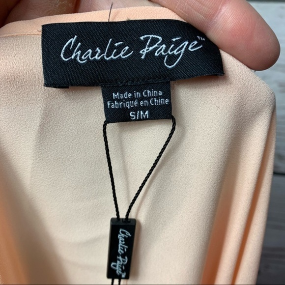 NWT Charlie Paige Color Block Chiffon Chemise Top - Picture 5 of 7